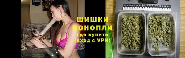 эйфоретик Гусев