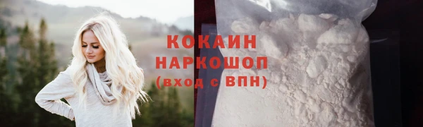 эйфоретик Гусев