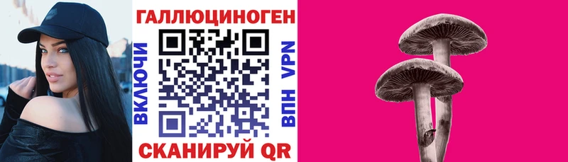 Псилоцибиновые грибы Psilocybe  Миасс 